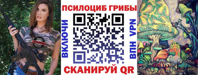 Галлюциногенные грибы Psilocybine cubensis  Купить закладки  Балтийск 